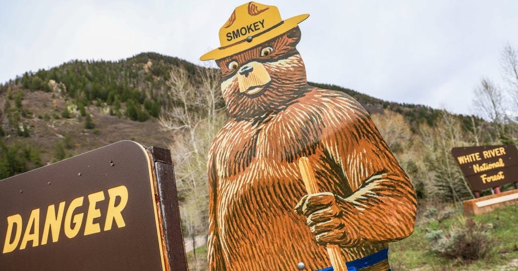 U.S. Forest Service district ranger gives stark insight into future of  Aspen area | AspenTimes.com