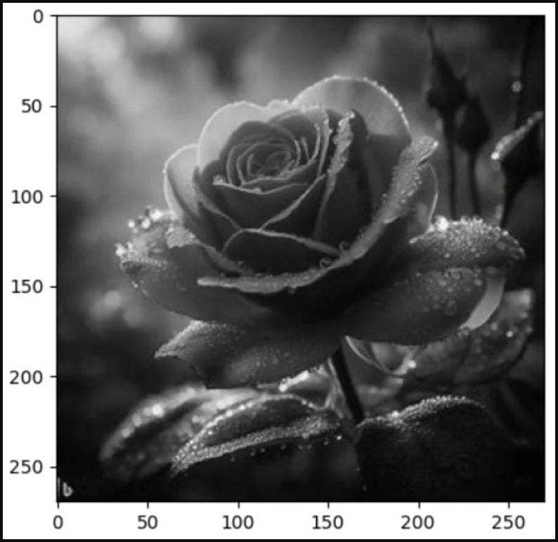 Figure 4.2 – Grayscale image