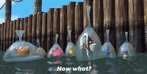 Meme Generator - Finding Nemo ‘Now what?’ - Newfa Stuff