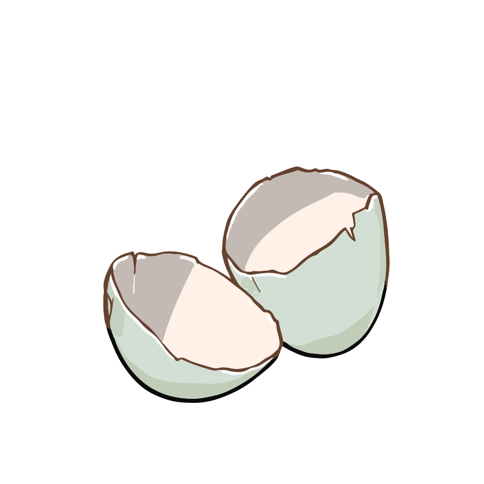 File:NIH BioArt CrackedEgg0003.svg