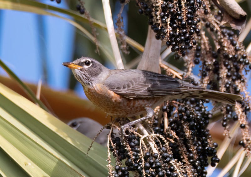 230104-misc-265-Edit 2.jpg 230104-misc-265-Edit 2.jpg