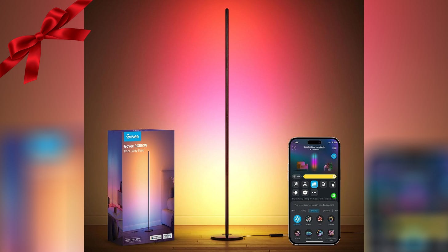 Govee RGBIC Floor Lamp Basic