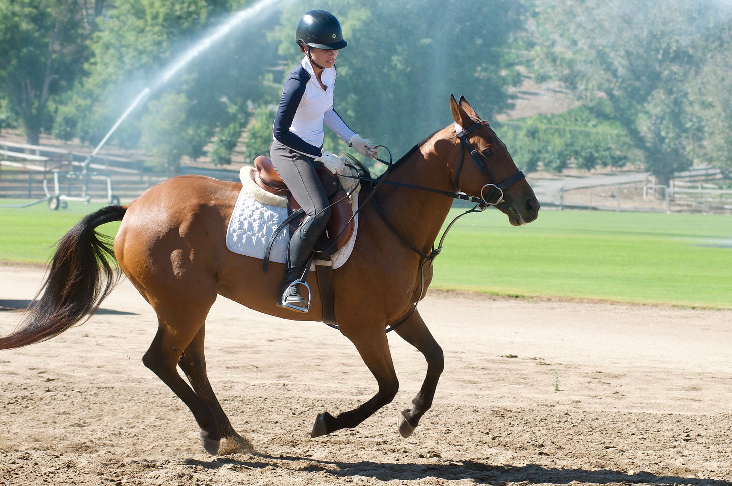 Riding last week, Photo by Wendy Stewart