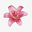 Em's avatar