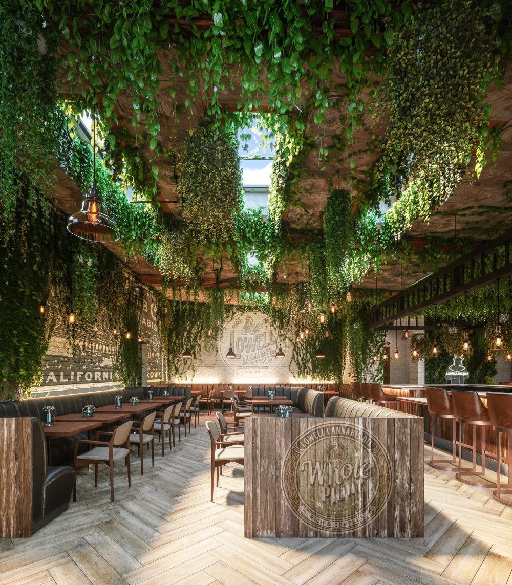 lowell cannabis cafe weed cafe west hollywood