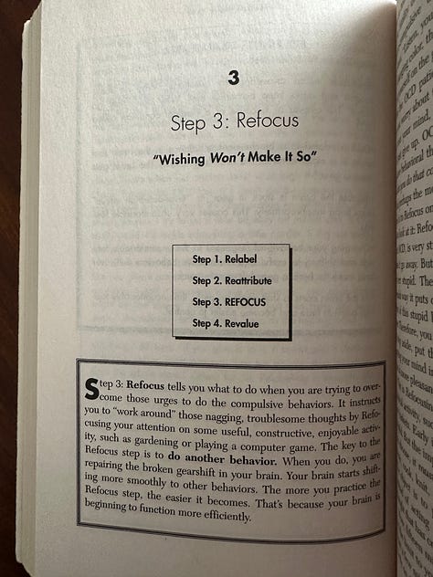Cover and select pages (dedication and four steps of process) from Brain Lock book