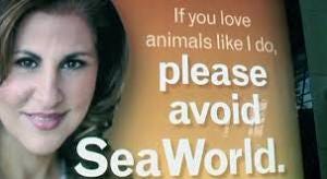 Peta SEaworld Ad Peta SEaworld Ad
