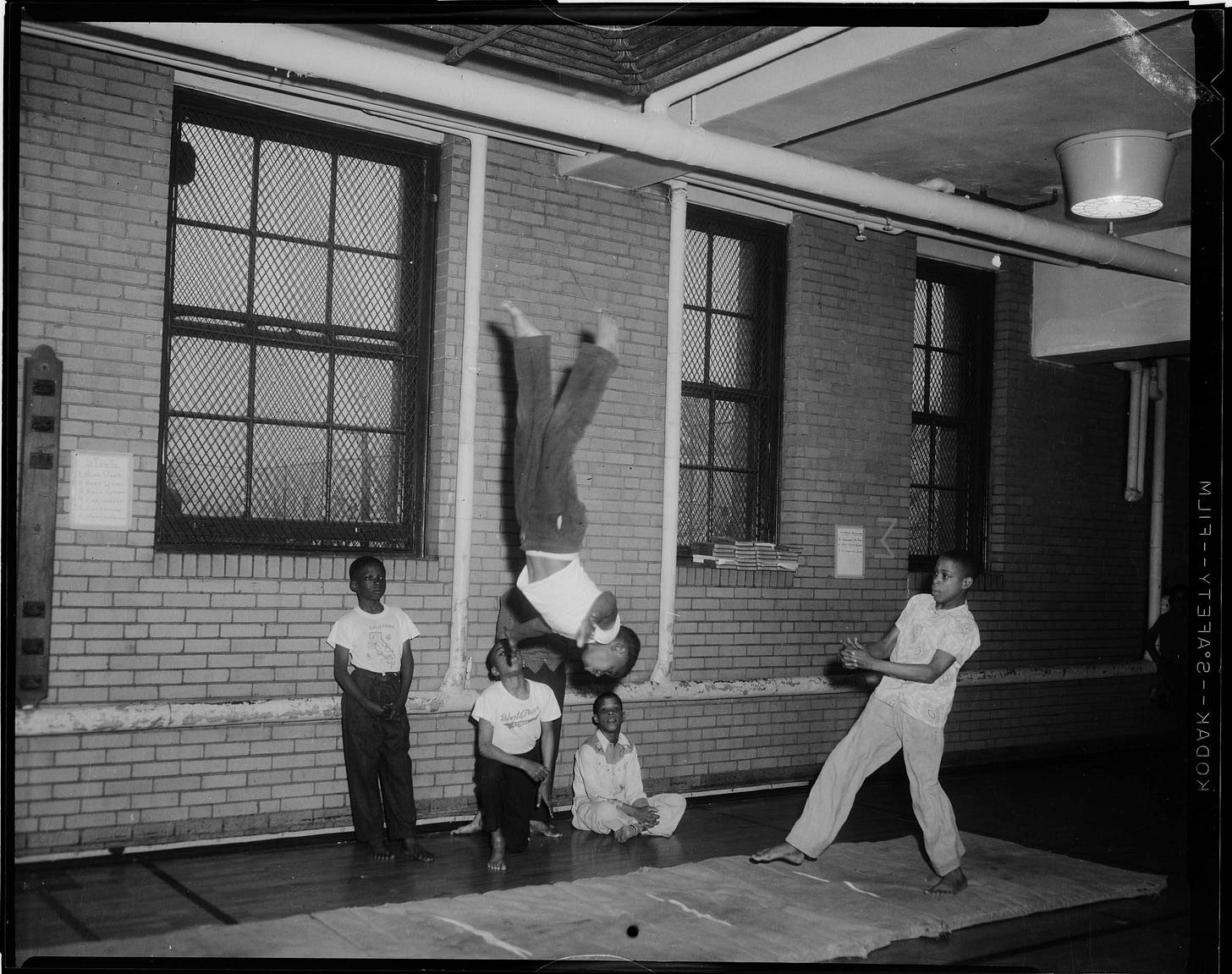 Collection | Carnegie Museum of Art