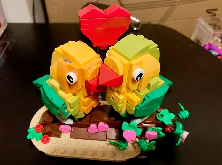 May be an image of bird and indoor