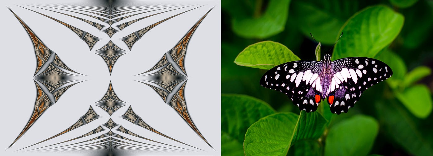 A BUTTERFLY IN THE QUANTUM WORLD | Medium