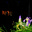 Ds's avatar