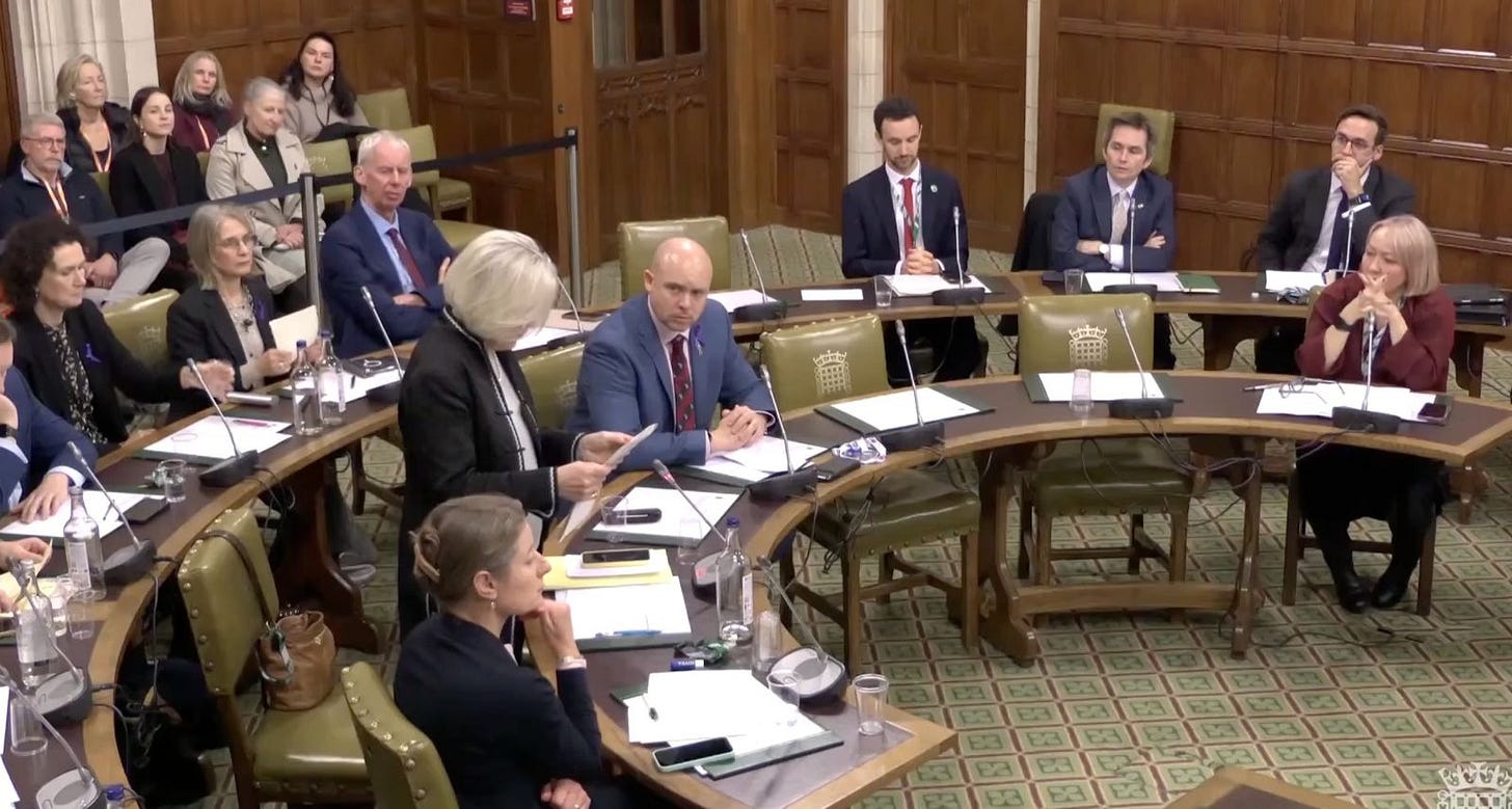 Photo shows Tessa Munt speaking at the Westminster Hall Debate in November 2025. Sitting near her are several other MPs and behind them are some visitors, watching.