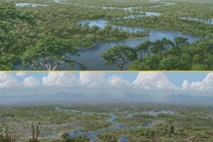 Artistic rendering of a University of Michigan study suggesting that dinosaurs acted as "ecosystem engineers," limiting the spread of dense forests. Their sudden extinction triggered widescale ecological change.