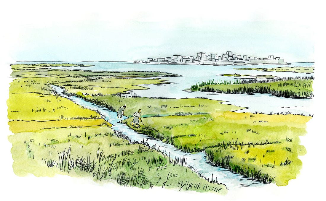 Drained marshland and irrigation channels on the plain outside ancient Syracuse in the fifth century BC, with the island of Ortigia in the distance. Drained marshland and irrigation channels on the plain outside ancient Syracuse in the fifth century BC, with the island of Ortigia in the distance.