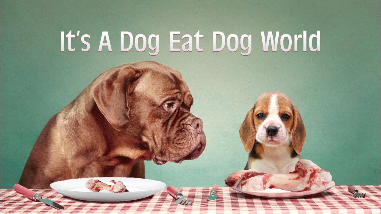 It's a Dog Eat Dog World with Pastor Charles Byrd: June 12, 2021 - YouTube