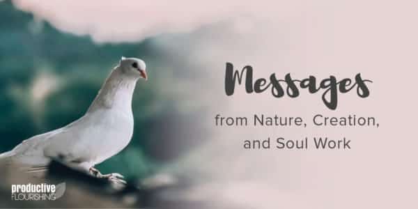 A dove in nature. Text overlay: Messages from nature, creation, and soul work A dove in nature. Text overlay: Messages from nature, creation, and soul work