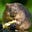 Ratty's avatar