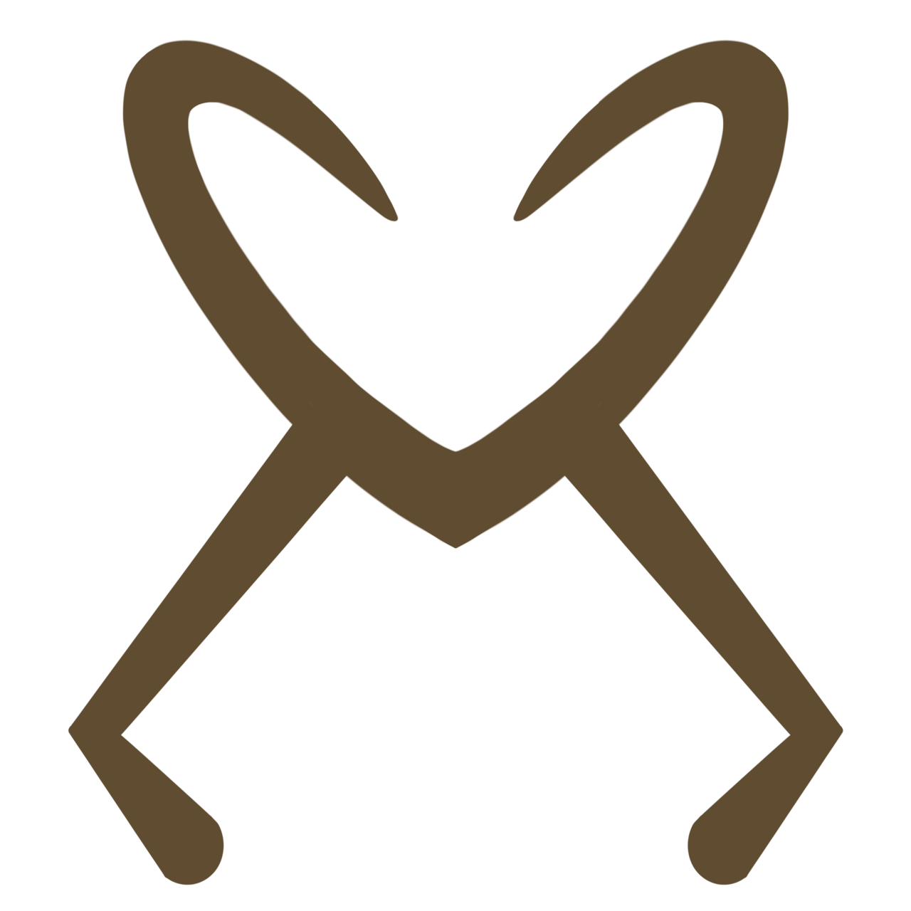 voir voler les coléoptères