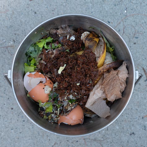 Triptych: The buckets of fruit & vegetable scraps in a row. in
