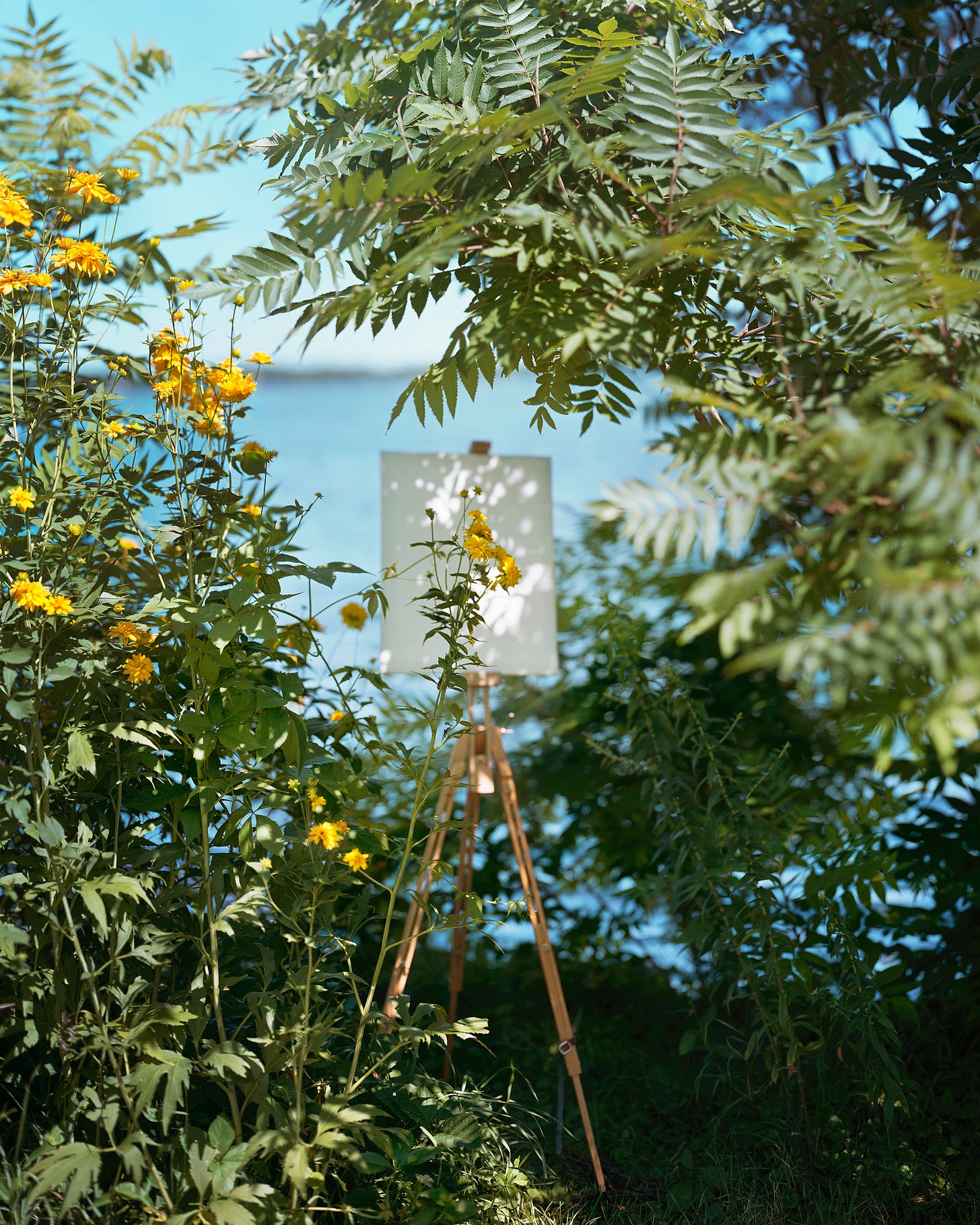 Signed Alec Soth print – $110