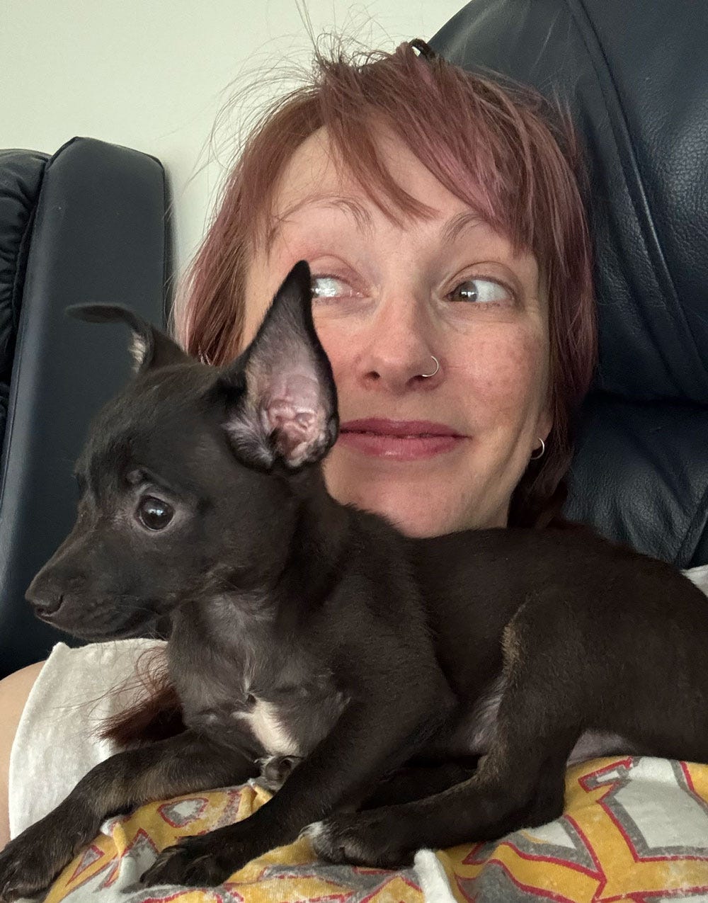 The tiniest dog you have ever seen sits on Kelly's chest as she looks amused. The tiniest dog you have ever seen sits on Kelly's chest as she looks amused.