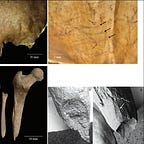 Anthropology.net
