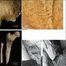 Anthropology.net