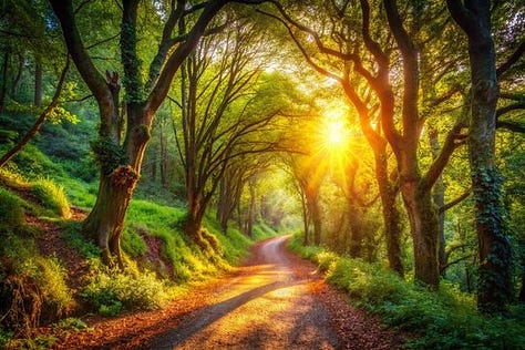 Pathways, tea house, tea time, tea garden
