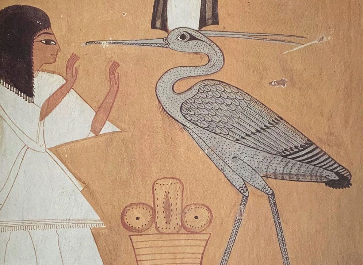 埃及神话中的创世太阳神鸟——贝努鸟（Bennu）