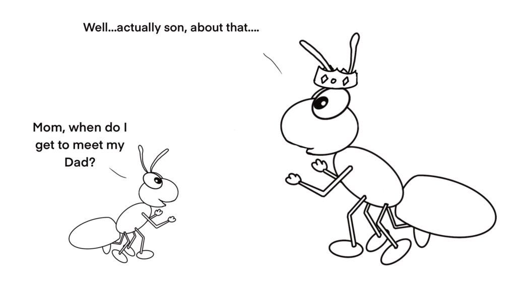 Drawing of ant son talking to queen about his father