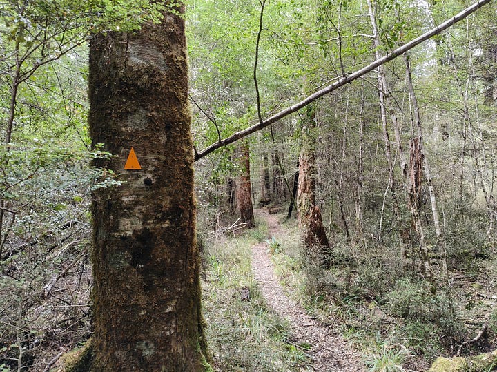 A bridge over a side creek, an orange DOC marker shows the way, Rotoroa shortly after dawn, the wood burner during a lit period at West Sabine Hut