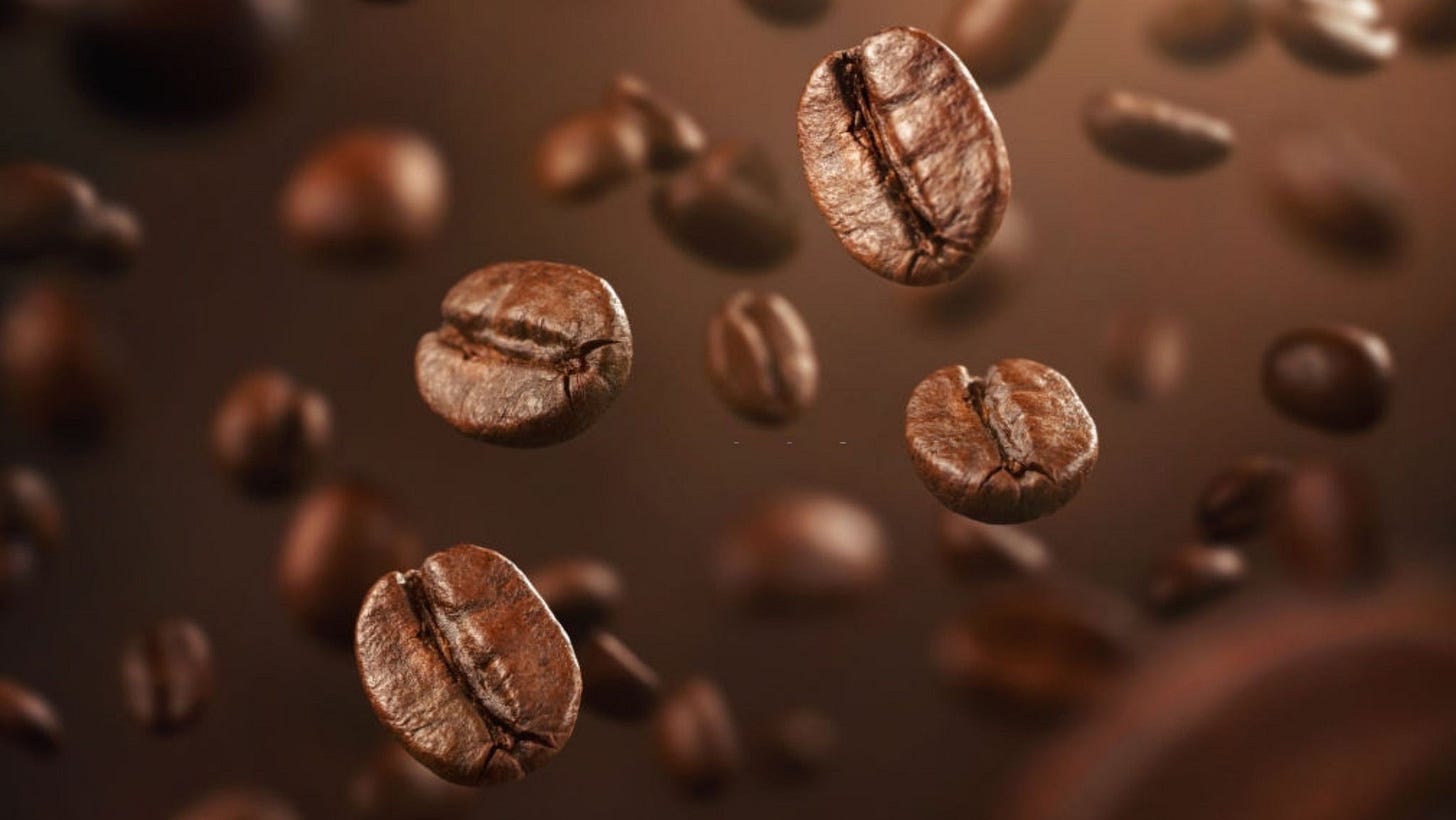 Types of Coffee Beans – Coffeeza