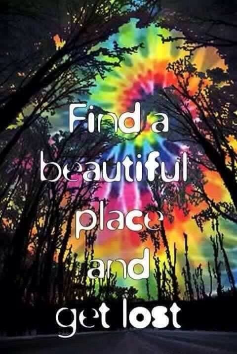 The Hippy Hut Motto | Happy hippie, Inspirational memes, Beautiful mind