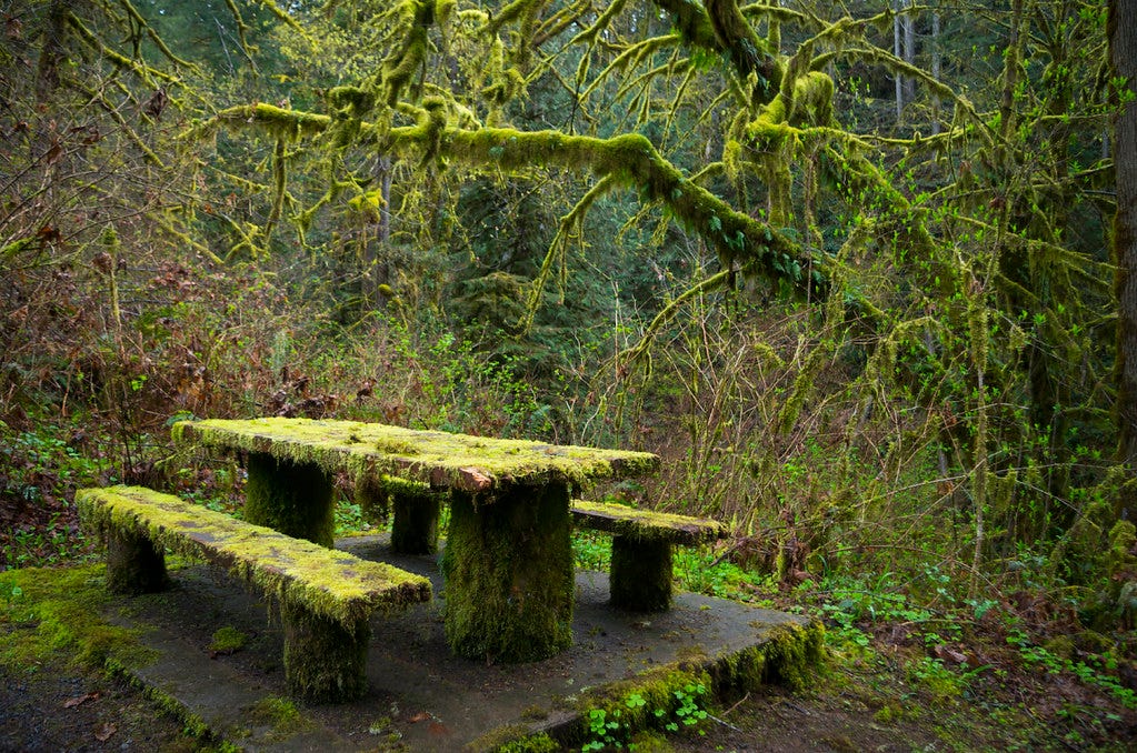 Mossy Table, Oregon Mossy Table, Oregon