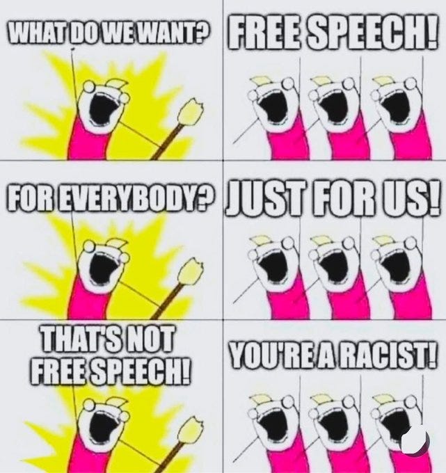 Cartoon meme in four panels with pink-clad characters holding protest signs. Top left panel shows one character yelling What do we want FREE SPEECH with rays emanating. Top right panel shows the same character yelling When do we want it with NOW. Bottom left panel shows three characters yelling For everybody with JUST FOR US. Bottom right panel shows three characters yelling Thats not FREE SPEECH with YOURE A RACIST.