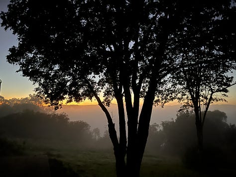 six photos: 1. a bright cloud with pink undertones floating over a hillside in the distance. 2. two trees overlayed on the left hand side of a hillside, blue sky behind with several puffy white clouds to the left of the tree. 3. dark menacing clouds filing the whole sky, with a strip of blue sky just beneath them and then low lying hills below that. 4. the mottled bark of a leopard tree, the colours include white, grey, and browns of all different shades. 5. a sunset photo with pinkish grey clouds, a patch of orange sky and low hills in the background. 6. a misty scene, a big tree fills the foreground and the sun is rising through the mist behind it. 