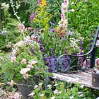 How to design your own cottage garden - easy tricks and tips