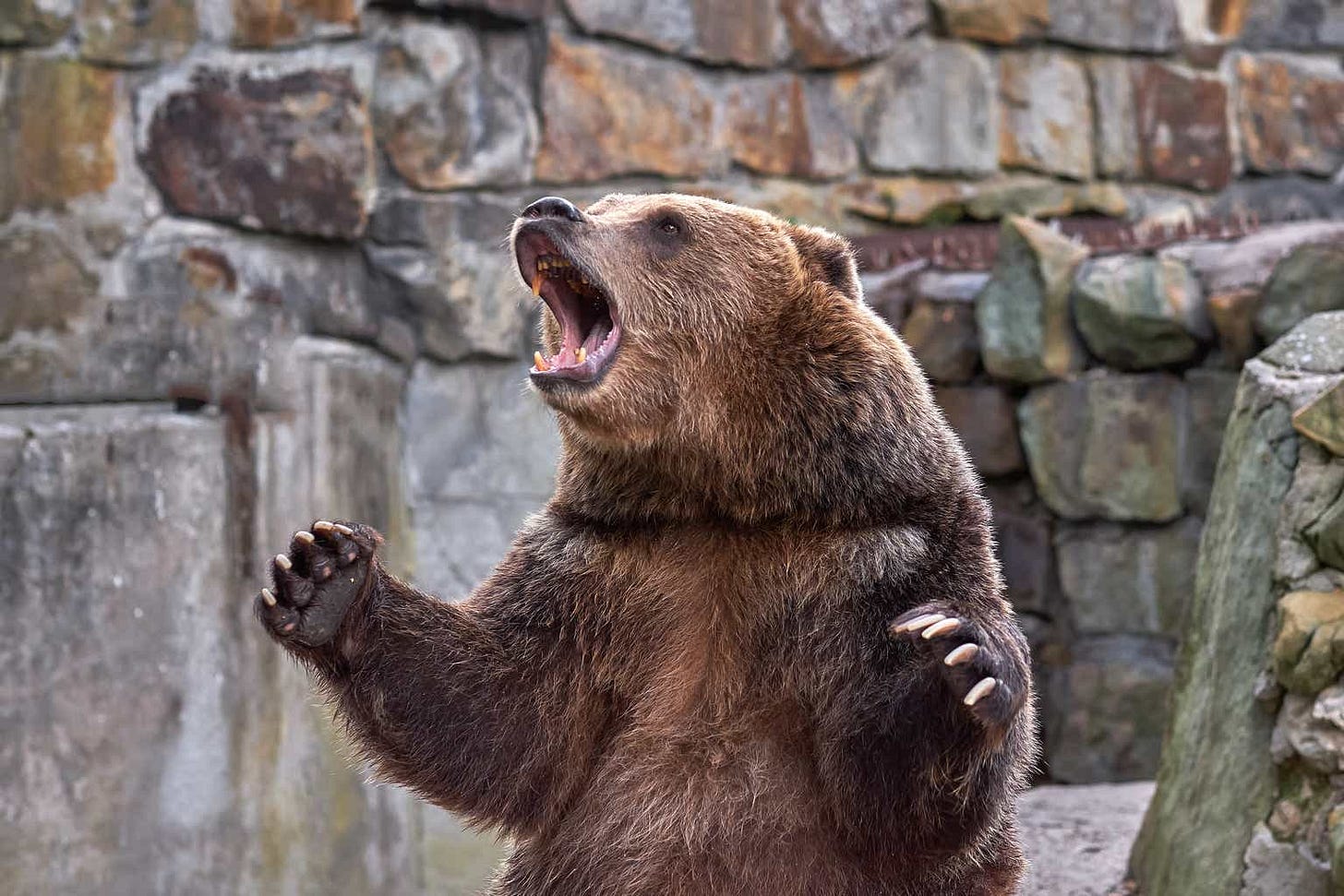 CPI Massacre May Send The Stock Market To New Lows (NDX) | Seeking Alpha