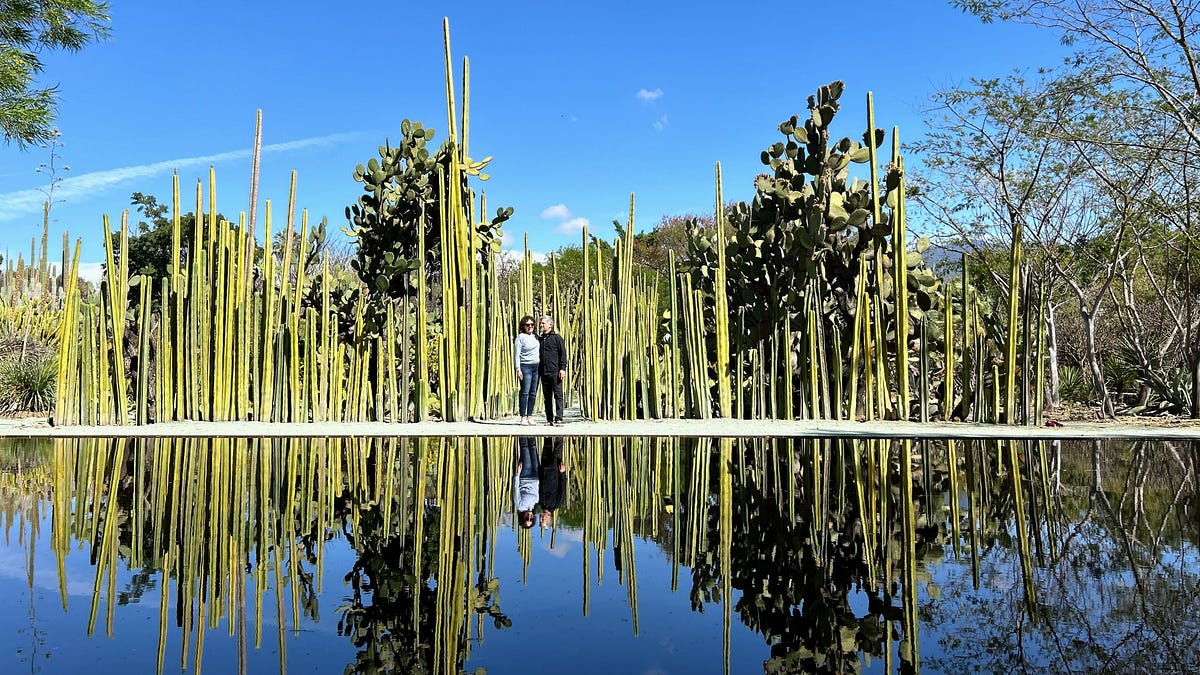 5 days in Oaxaca: What to know before you go - The Invisible Thread