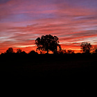 The thread that binds us – audio version