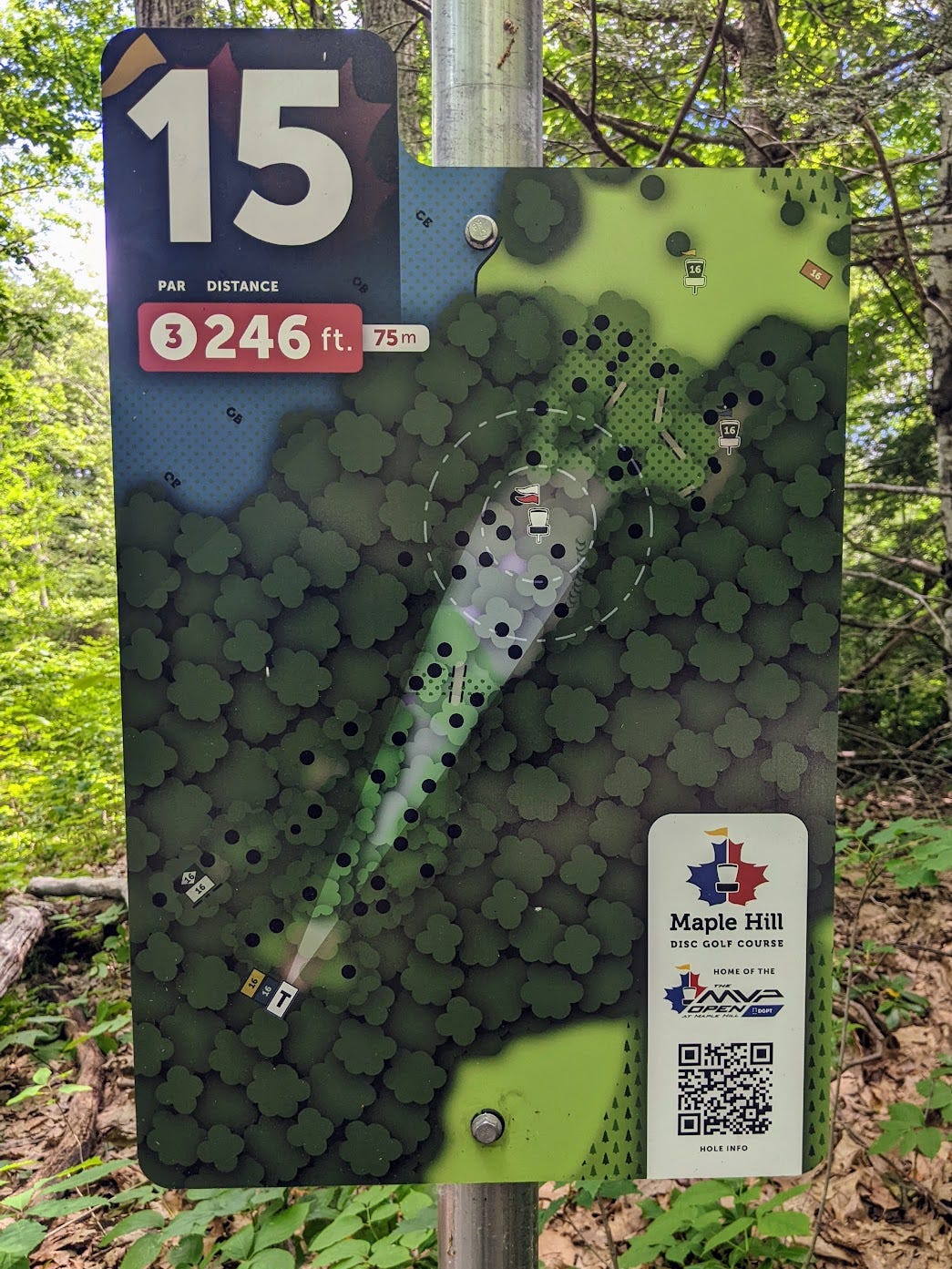Hole 15 red at Maple Hill. You want this tee shot to fly straight.