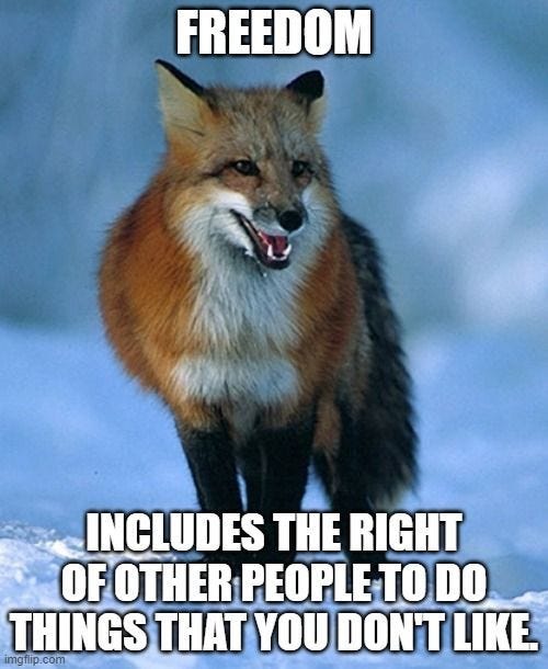 This may contain: a red fox running in the snow with caption that reads, i can't believe