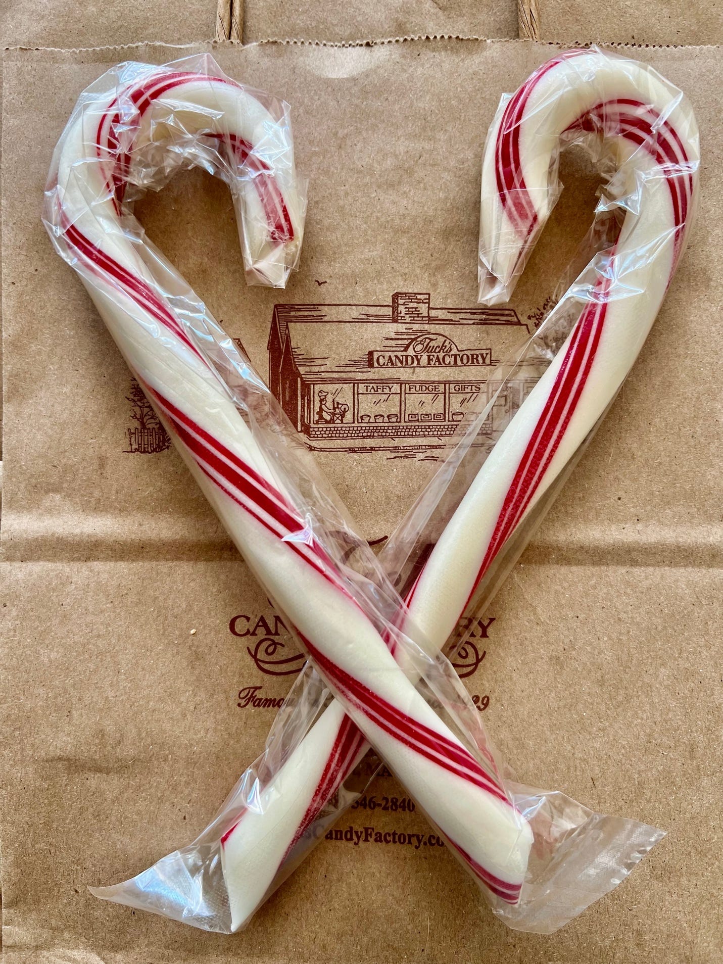 Two candy canes in plastic wrap

Description automatically generated