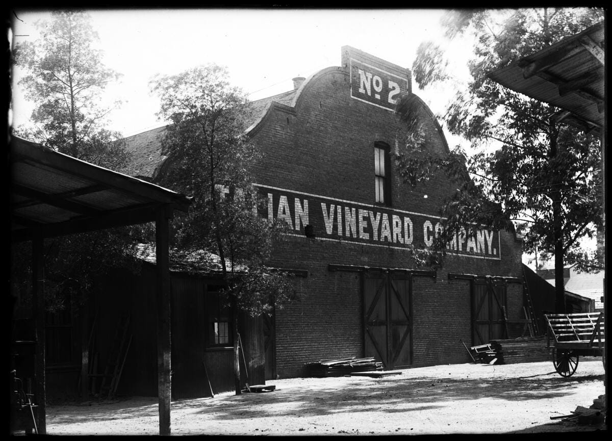Historical photograph of a large brick building marked "Italian Vineyard Company No. 2" at Guasti, California.