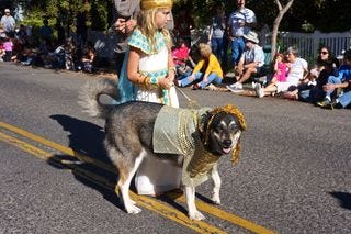 A – Parade 7 A – Parade 7
