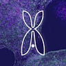 Alchemy Bio