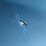 photo of cracked windshield from stock.adobe.com