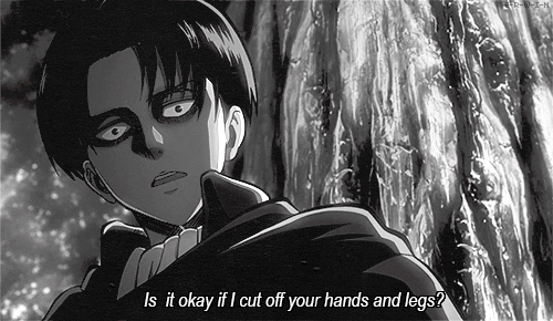 Attack On Titan Titans GIF