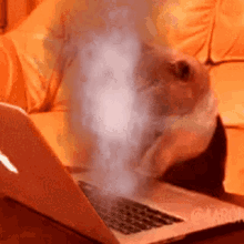 Fast Typing GIFs | Tenor