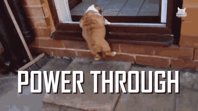 Power Through You Can Do It GIF - Tenor GIF Keyboard - Bring Personality To  Your Conversations | Say more with Ten… | You can do it gif, Just keep going,  You can do Power Through You Can Do It GIF - Tenor GIF Keyboard - Bring Personality To  Your Conversations | Say more with Ten… | You can do it gif, Just keep going,  You can do